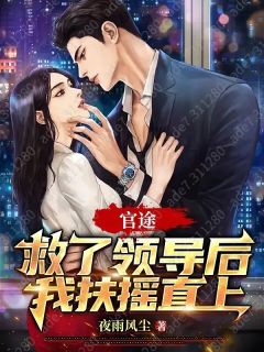 官途：救了领导后我扶摇直上杨建国苏晓大结局小说全章节阅读-二筒文学网