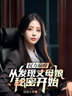 权力巅峰，从发现丈母娘秘密开始知乎小说最新章节阅读