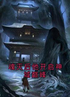 魂灭后他开启神域巅峰小说(完整版)-苍诀蝶羽章节阅读-二筒文学网