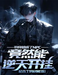 抖音热推小说我穿越成了NPC，竟然能逆天开挂全文在线阅读