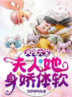 沈乐依司墨渊主角小说天降六宝：夫人她身娇体软抖音文免费阅读全文