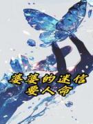 小夏婆婆主角小说婆婆的迷信要人命抖音文免费阅读全文-二筒文学网