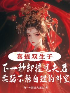 喜提双生子，下一秒却撞见夫君柔弱不能自理的外室小说最新章节 沈砚之怜月结局是什么-二筒文学网