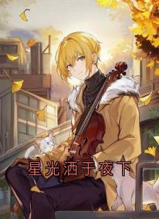 星光洒于夜下by霍斯年免费阅读小说大结局