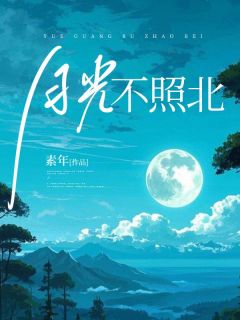 好文热推小说林画裴照北秦诗诗主角裴照北林画全文在线阅读