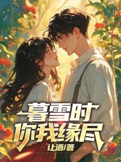 暮雪时你我缘尽(全章节)-陆寒洲洛雨眠在线阅读