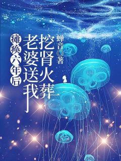 瘫痪六年，老婆送我挖肾火葬场梁书禹夏悠然屿琛全章节目录免费阅读