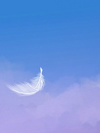 抖音若南贺嘉誉薛语蝶小说叫什么名字