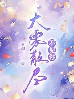 大雾散尽不见你林画裴照北全章节完结版在线阅读