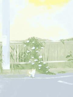 我脱离世界后，总裁疯了知乎后续免费试读