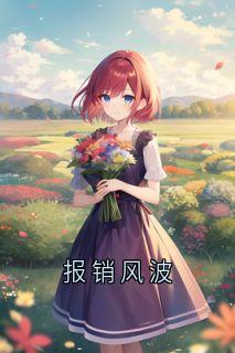 老书虫推荐报销风波 在线阅读-二筒文学网