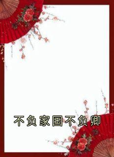 不负家国不负卿by安宁-二筒文学网