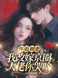 放弃当舔狗后，财阀大佬急着以身相许无广告阅读 沈清禾秦溯宋逸免费在线阅读-二筒文学网