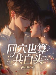 同穴也算共白头沈晚宁季则深小说完整在线阅读