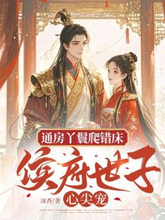 爆款小说通房丫鬟爬错床：侯府世子心尖宠主角梅久傅砚辞全文在线完本阅读-二筒文学网