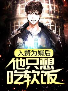 良心推荐入赘为婿后，他只想吃软饭小说试读