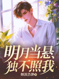 抖音明月当悬独不照我小说章节阅读