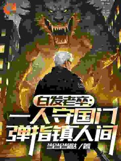 主人公李苍澜李小天小说白发老卒：一人守国门弹指镇人间在线全文阅读