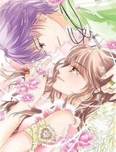 霍司宴苏昭昭全文最新章节正版小说免费阅读