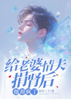 爆款小说给老婆情夫捐肾后，他却疯了-主角苏寒烟叶凡周明昊在线阅读