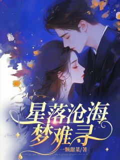 熬夜也要看完的星落沧海梦难寻小说推荐