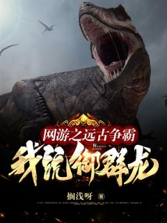 免费完结小说网游之远古争霸，我，统御群龙！林飞张妍无弹窗免费阅读-二筒文学网