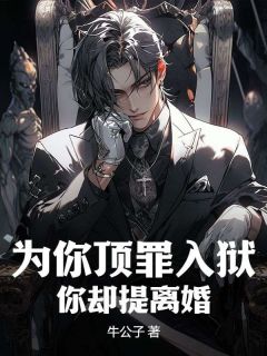 为你顶罪入狱，你却提离婚主角是林枫林雪儿小说百度云全文完整版阅读