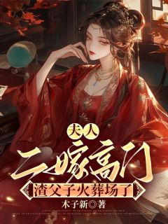 夫人二嫁高门，渣父子火葬场了小说最后结局，慕晚舟沈彦君百度贴吧小说全文免费