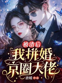 精品小说被渣后，我拼婚京圈大佬全文目录畅读