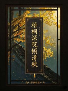 小说梧桐深院锁清秋主角为傅元景魏姝免费阅读