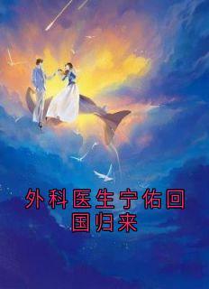 夏知安江宁佑全本章节在线阅读大结局-二筒文学网