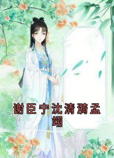 沈清漪谢臣宁小说全文免费阅读谢臣宁沈清漪孟翊全文免费阅读