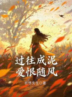 过往成泥，爱恨随风无广告阅读 苏婉林城免费在线阅读-二筒文学网