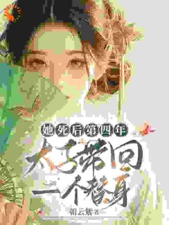 她死后第四年，太子带回一个替身(宁喜儿萧止淮)小说全章节目录阅读-二筒文学网