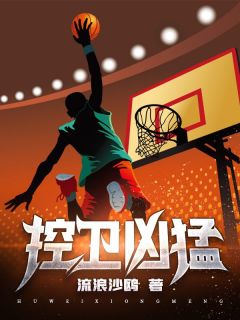 主角是范希科比的小说叫什么控卫凶猛免费全文阅读