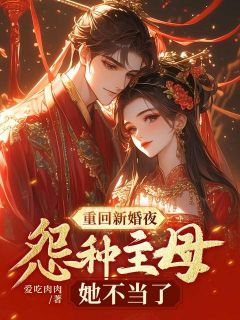 书荒推荐重回新婚夜，怨种主母她不当了(崔攸宁燕嘉树)在线试读