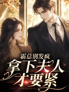 霸总别发疯，拿下夫人才要紧小说主角是赵舒晚顾砚琛全文完整版阅读