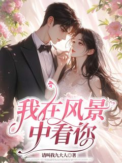 温然傅彻我在风景中看你完结版小说全文免费阅读