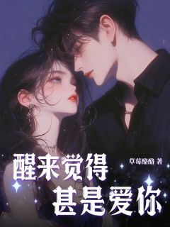 醒来觉得，甚是爱你小说-叶清梨周岩许时瑾全篇阅读-二筒文学网