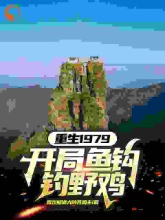 重生1979：开局鱼钩钓野鸡免费阅读全文，主角唐哲唐婉小说