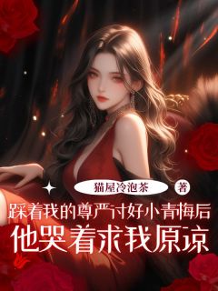 裴钰宋止徐婉音小说结局-二筒文学网