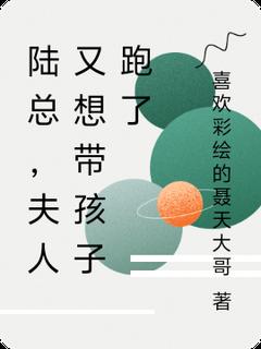 陆总，夫人又想带孩子跑了小说全章节目录阅读BY喜欢彩绘的聂天大哥完结版阅读