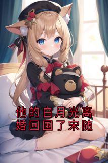 书荒必备宋随岑念念小说