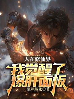 陈枫林雪人在修仙界，我觉醒了爆肝面板全章节免费阅读-二筒文学网