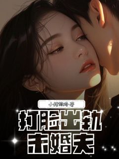 好书推荐打脸出轨未婚夫林袅袅谢稔肖晓越梁晴全文在线阅读