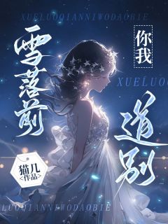 楚清月邵俞星完整版雪落前，你我道别全文最新阅读