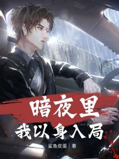 精品小说暗夜里我以身入局全文目录畅读-二筒文学网