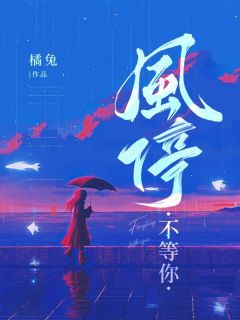老书虫看了N遍的风停不等你最新章节