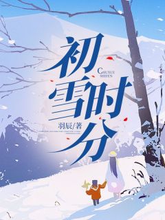抖音初雪时分txt小说阅读