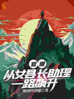 官道：从女县长助理一路飙升在线阅读 步青云王大美免费小说精彩章节